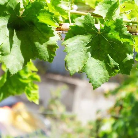 Oda ve Kahvaltı Nonna Francesca 3*