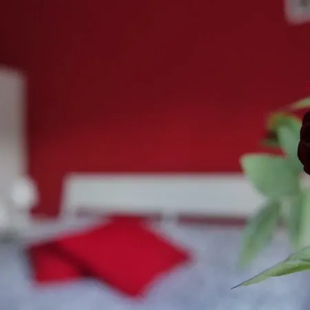 Alojamento de Acomodação e Pequeno-almoço Nonna Francesca 3*